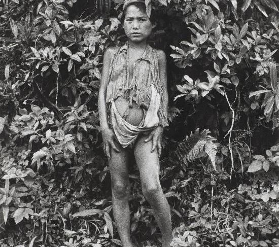Jeune garçon dans la jungle, Népal(Young boy in the jungle, Nepal)